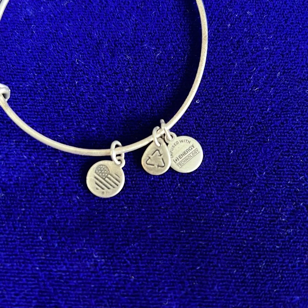 Alex and Ani path life